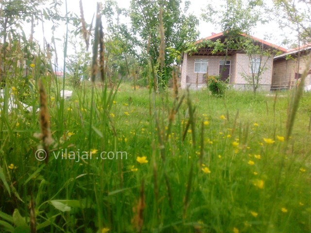 عکس شماره 253871 - اجاره ویلا در ماسال - 