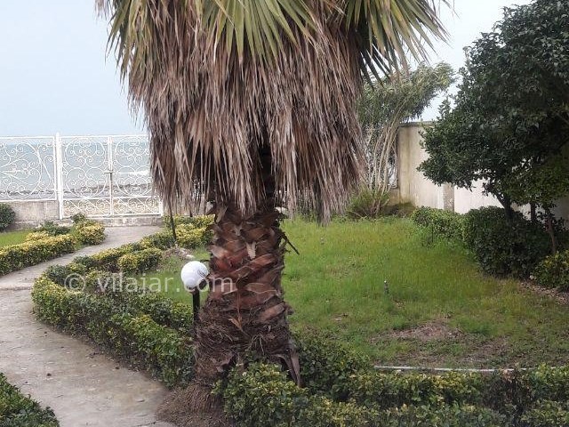 عکس شماره 254703 - ویلا با ساحل اختصاصی رامسر - 