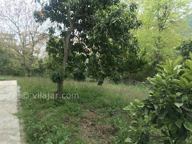 عکس شماره 256979 - ویلا اجاره ای در رامسر - 