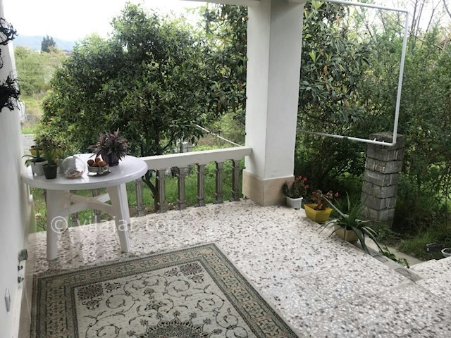 عکس شماره 256997 - ویلا اجاره ای در رامسر - 