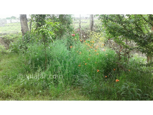 عکس شماره 257165 - اجاره سویت در ماسال -