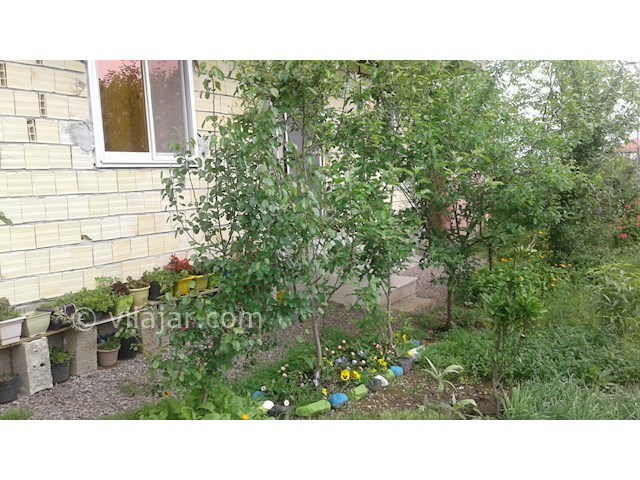 عکس شماره 257203 - واحد اجاره ای در ماسال - 