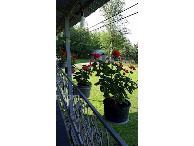 عکس شماره 257437 - اجاره ویلا در ماسال در جنگل - 