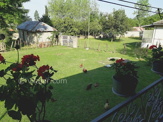 عکس شماره 257441 - اجاره ویلا در ماسال در جنگل - 