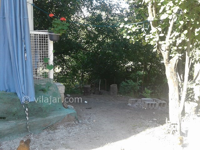 عکس شماره 258289 - ویلای جنگلی در گردنه حیران - 