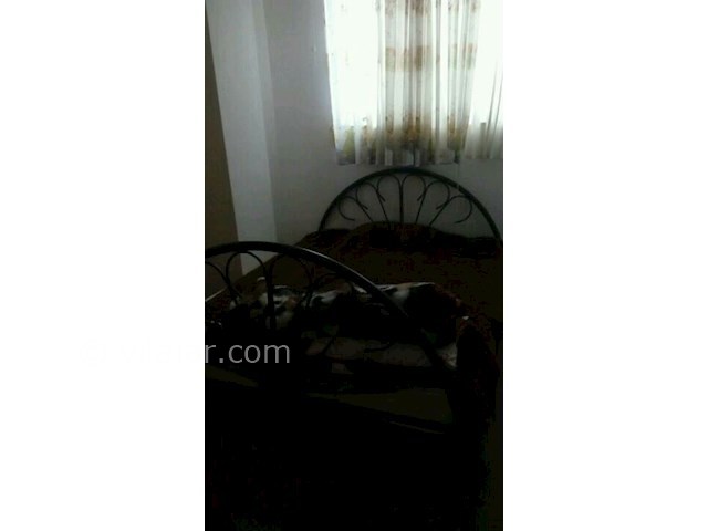 عکس شماره 258819 - اجاره سوئیت ارزان در ساری -