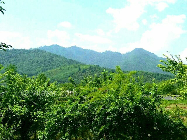 عکس شماره 259837 - ویلا اجاره ای در ماسال - 