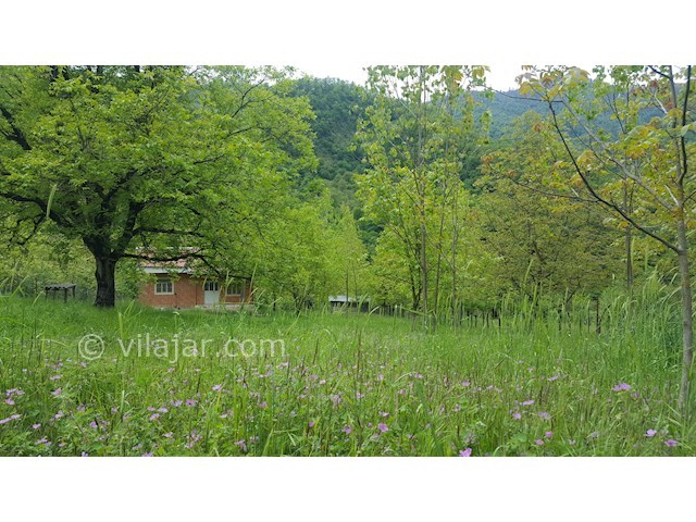 عکس شماره 261365 - اجاره ویلای جنگلی در تالش - 