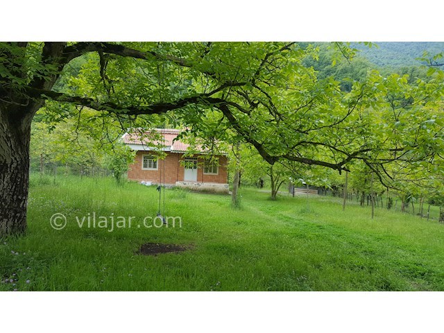 عکس شماره 261369 - اجاره ویلای جنگلی در تالش - 