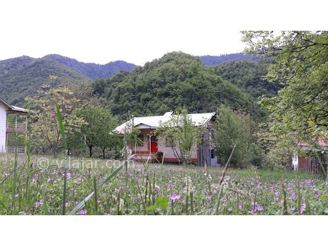 عکس شماره 261395 - ویلای جنگلی ییلاقی در تالش - 