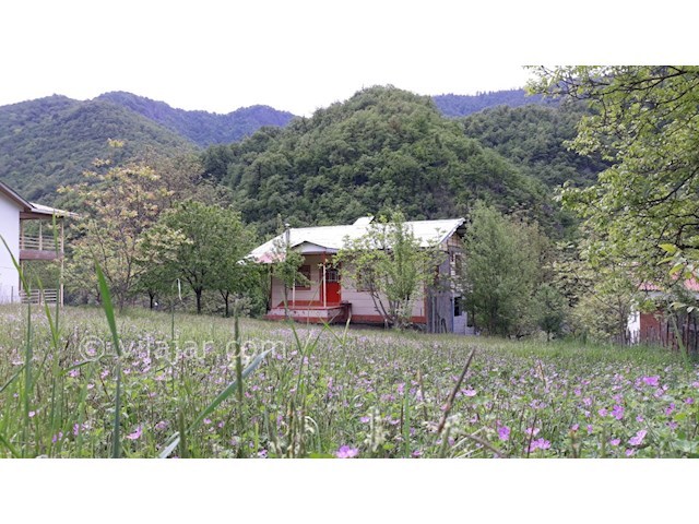 عکس شماره 261397 - ویلای جنگلی ییلاقی در تالش - 