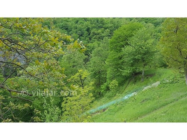 عکس شماره 261419 - ویلای جنگلی ییلاقی در تالش - 