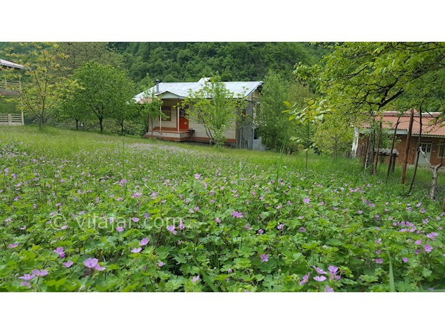 عکس شماره 261425 - ویلای جنگلی ییلاقی در تالش - 