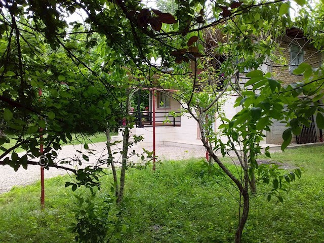 عکس شماره 262393 - ویلا اجاره ای در ماسال - 