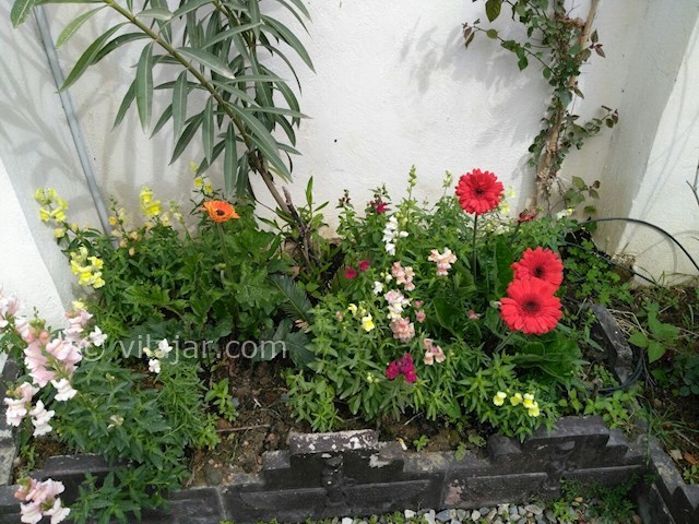 عکس شماره 265647 - اجاره ویلای استخردار با سونا - 