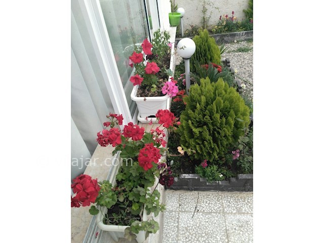 عکس شماره 265649 - اجاره ویلای استخردار با سونا - 