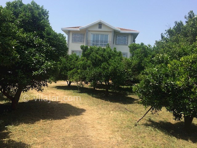 عکس شماره 267937 - ویلا دربست جنگلی نزدیک رامسر - 