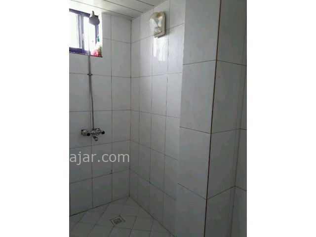 عکس شماره 270667 - کرایه ویلا در رضوانشهر -