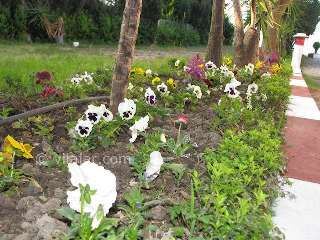 عکس شماره 271369 - ویلای ساحلی سلطان خط هشت - 