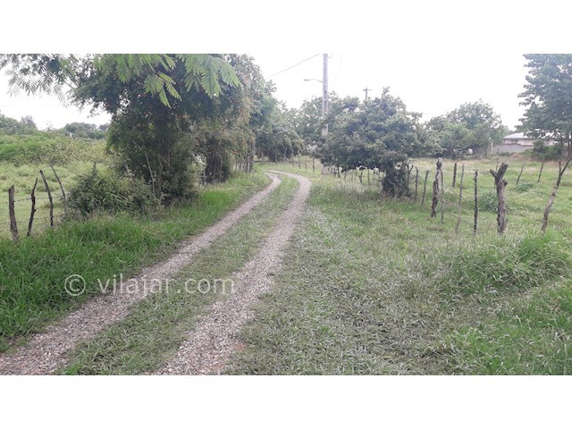 عکس شماره 271907 - ویلا اجاره در ماسال وشمه سرا - 