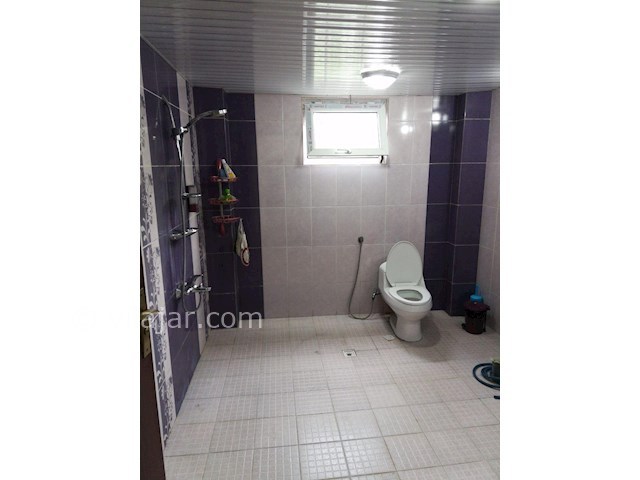 عکس شماره 272337 - اجاره ویلا در زیباکنار گیلان - 