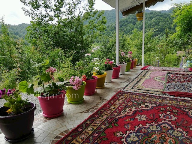 عکس شماره 272357 - اجاره ویلا جنگلی در تالش - 