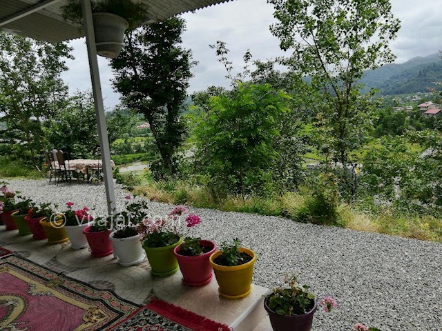 عکس شماره 272373 - اجاره ویلا جنگلی در تالش - 