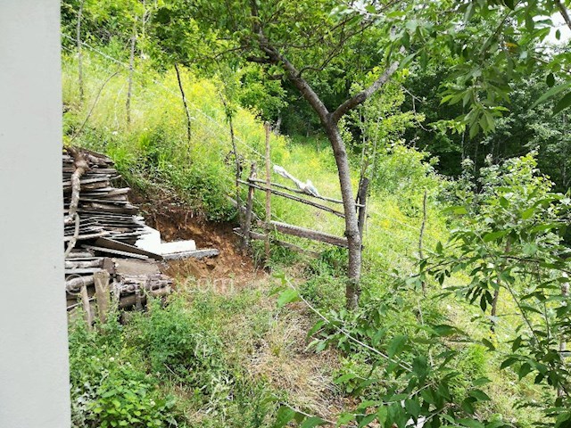 عکس شماره 272377 - اجاره ویلا جنگلی در تالش - 