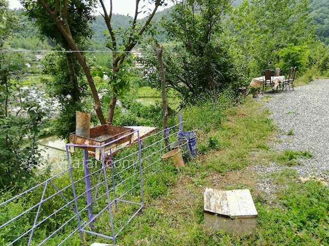 عکس شماره 272405 - اجاره ویلا جنگلی در تالش - 