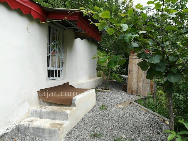 عکس شماره 272409 - اجاره ویلا جنگلی در تالش - 