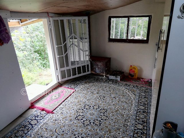 عکس شماره 272411 - اجاره ویلا جنگلی در تالش - 