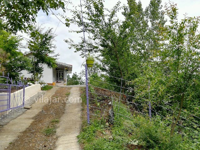 عکس شماره 272435 - اجاره ویلا جنگلی در تالش - 