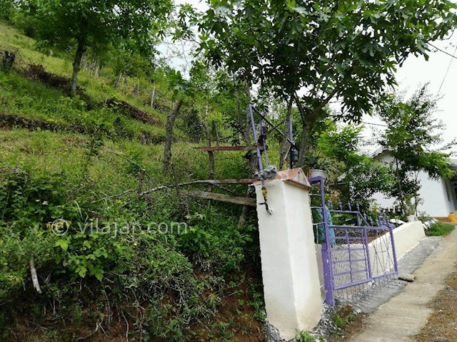 عکس شماره 272439 - اجاره ویلا جنگلی در تالش - 