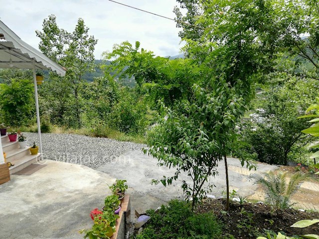 عکس شماره 272445 - اجاره ویلا جنگلی در تالش - 