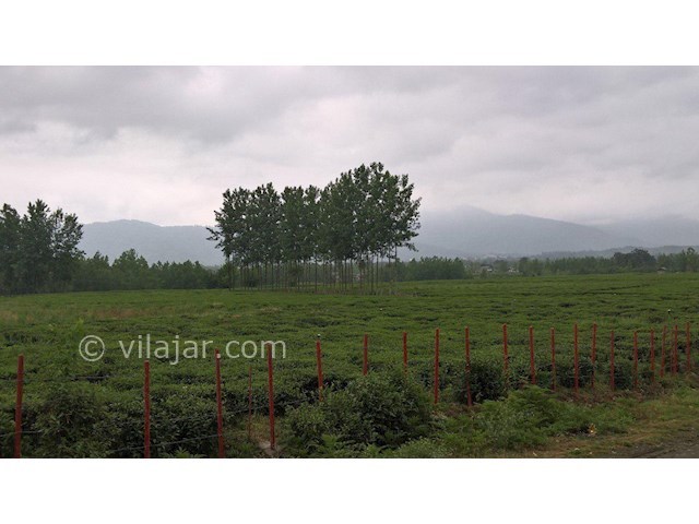 عکس شماره 273657 - اجاره ویلا نزدیک رشت - 