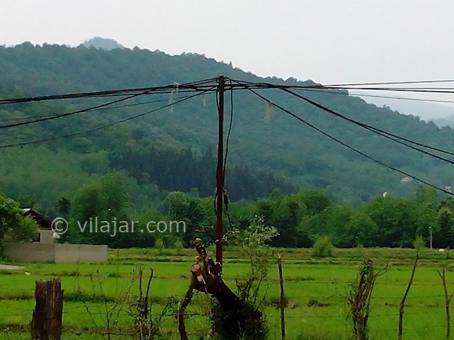 عکس شماره 273763 - اجاره ویلا باغ جنگلی در ماسال - ویو ویلا به شالیزار و کوهپایه 