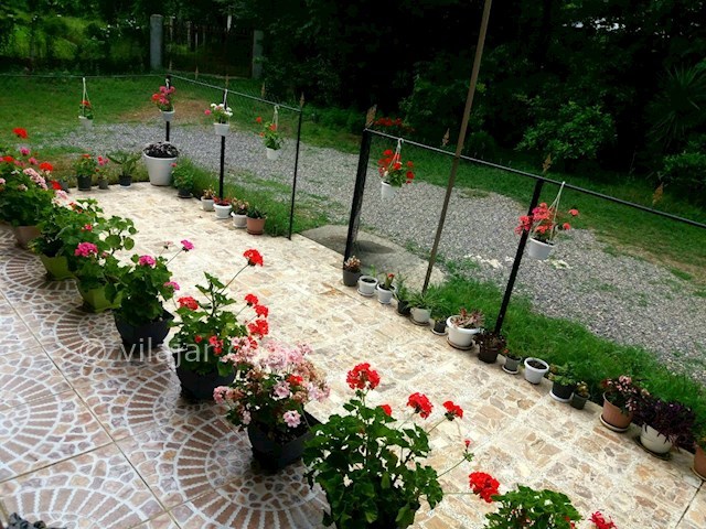 عکس شماره 275081 - ویلای اجاره ای در ماسال -