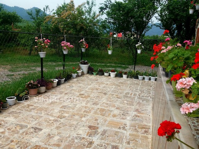 عکس شماره 275083 - ویلای اجاره ای در ماسال -