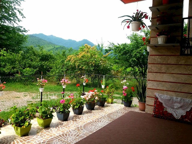 عکس شماره 275085 - ویلای اجاره ای در ماسال -