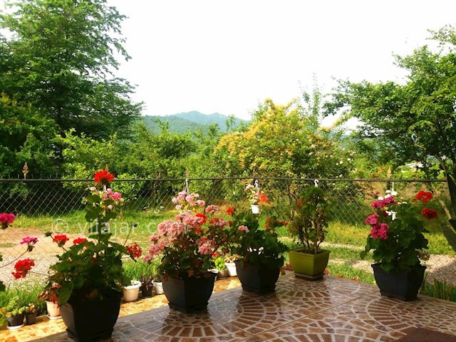 عکس شماره 275087 - ویلای اجاره ای در ماسال -