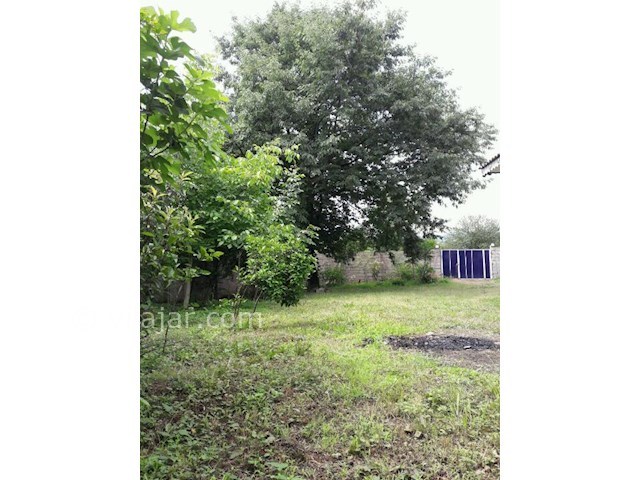 عکس شماره 276639 - اجاره ویلا در اولم شاندرمن - 