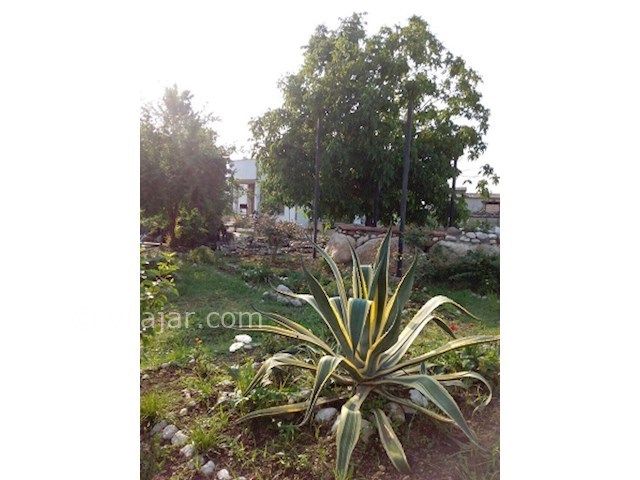 عکس شماره 27723 - ویلا باغ جنگلی عباس آباد - 