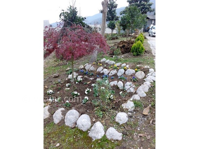 عکس شماره 27779 - ویلا باغ جنگلی عباس آباد - 