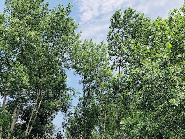 عکس شماره 278941 - ویلا استخردار رویال لاکچری 2 - 