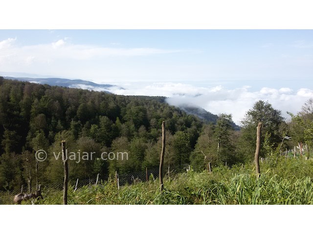 عکس شماره 279129 - اجاره کلبه ییلاقی کوهستانی - 