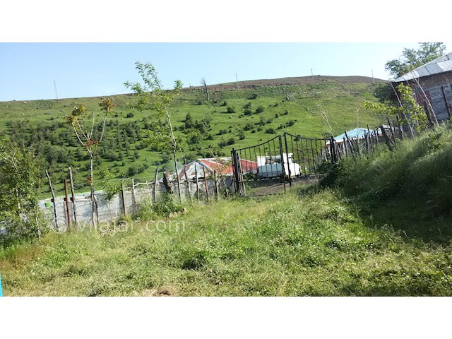 عکس شماره 279133 - اجاره کلبه ییلاقی کوهستانی - 