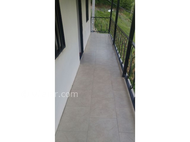 عکس شماره 279565 - کرایه خانه ویلایی در جنگل دالخانی - 