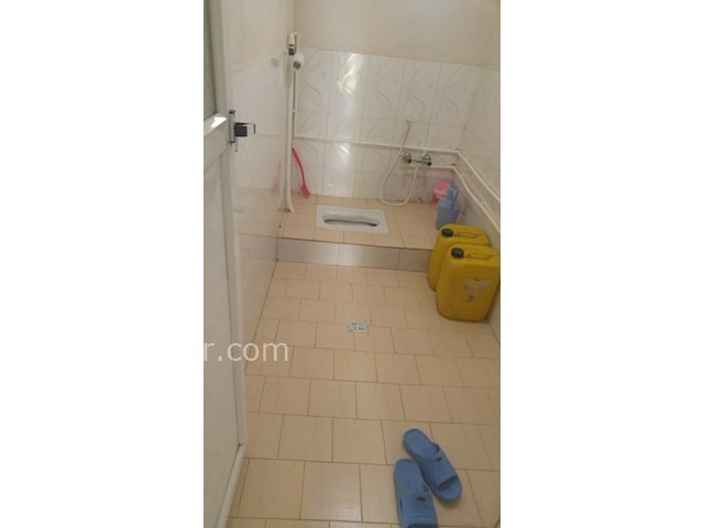 عکس شماره 279579 - کرایه خانه ویلایی در جنگل دالخانی - 