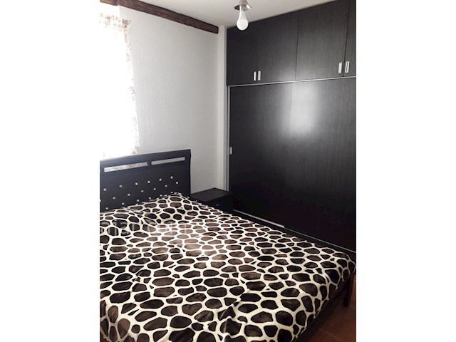 عکس شماره 280375 - اجاره واحد در زیباکنار - 