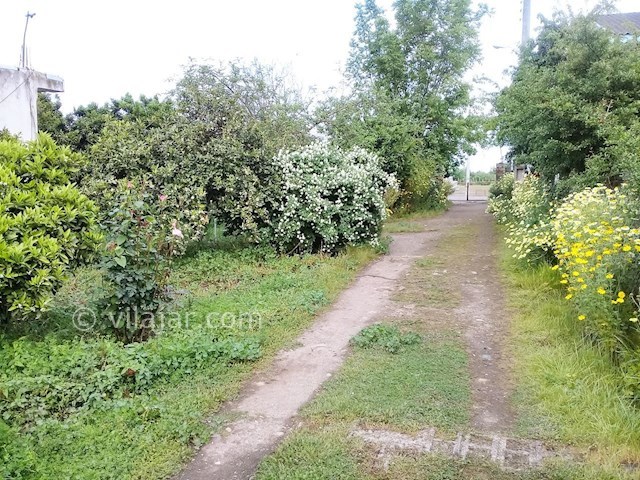 عکس شماره 280843 - اجاره ویلای ساحلی در تالش - 